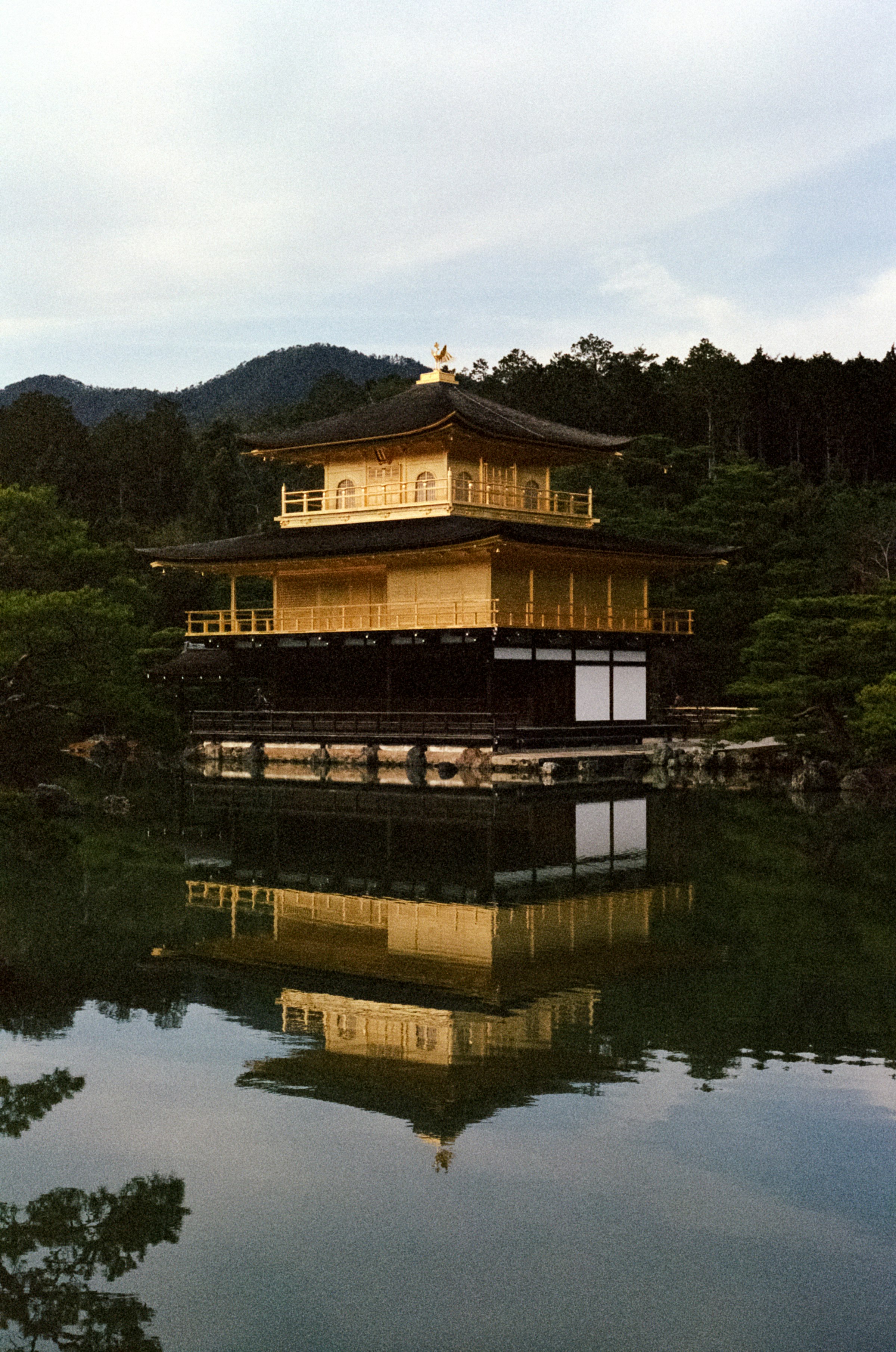 brown wooden house on lake